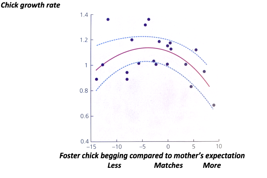 <p>Made with cross-fostering </p><ul><li><p>Optimum chick growth is when the demand matched the supply</p></li><li><p>When chicks begged less than expected</p><ul><li><p>less food given</p></li><li><p>less growth</p></li></ul></li><li><p>When chicks begged more than expected</p><ul><li><p>more energy wasted begging</p></li><li><p>grow less</p></li></ul></li></ul><p></p>