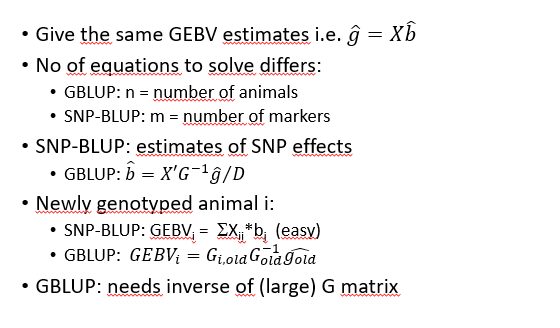 <p>Give the same GEBV estimates</p><p>no. of equiations to solve differs</p><ul><li><p>GBLUP: n = number of animals</p></li><li><p>SNP-blup: number of markers</p></li></ul><p>SNP=BLUP estimates of SNP effects</p><p>GBLUP: needs inverse of (large) G matrix<span>• Equivalent model means that the models are the same but parameterised differently. For the same parameters they give the same results, ie. they give the same genomic EBV.</span></p><img src="https://knowt-user-attachments.s3.amazonaws.com/c20b42f3-fc3b-41f6-bcd0-570871ba09c1.png" data-width="100%" data-align="center"><p></p>