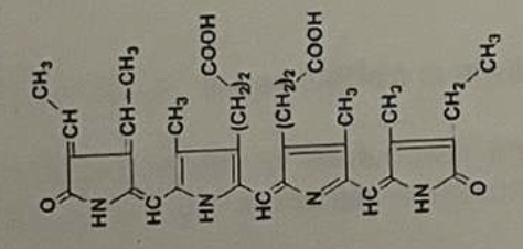<p><span><span>the structure shown at the right is</span></span></p>