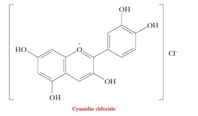 <p>The red and blue colors are sugar derivatives called <strong>anthocyanins</strong></p><p>The pigments involve various sugars bonded to the compound<strong> cyanidin and its derivatives</strong></p>