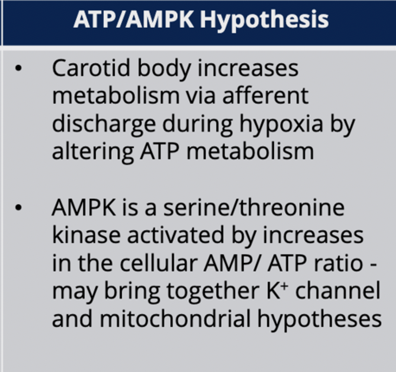 <p>Links oxygen sensing to cellular metabolism.</p>