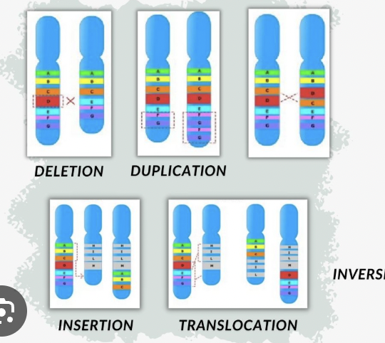 <p>A large-scale change affecting many genes (e.g. extra or missing chromosome).</p>