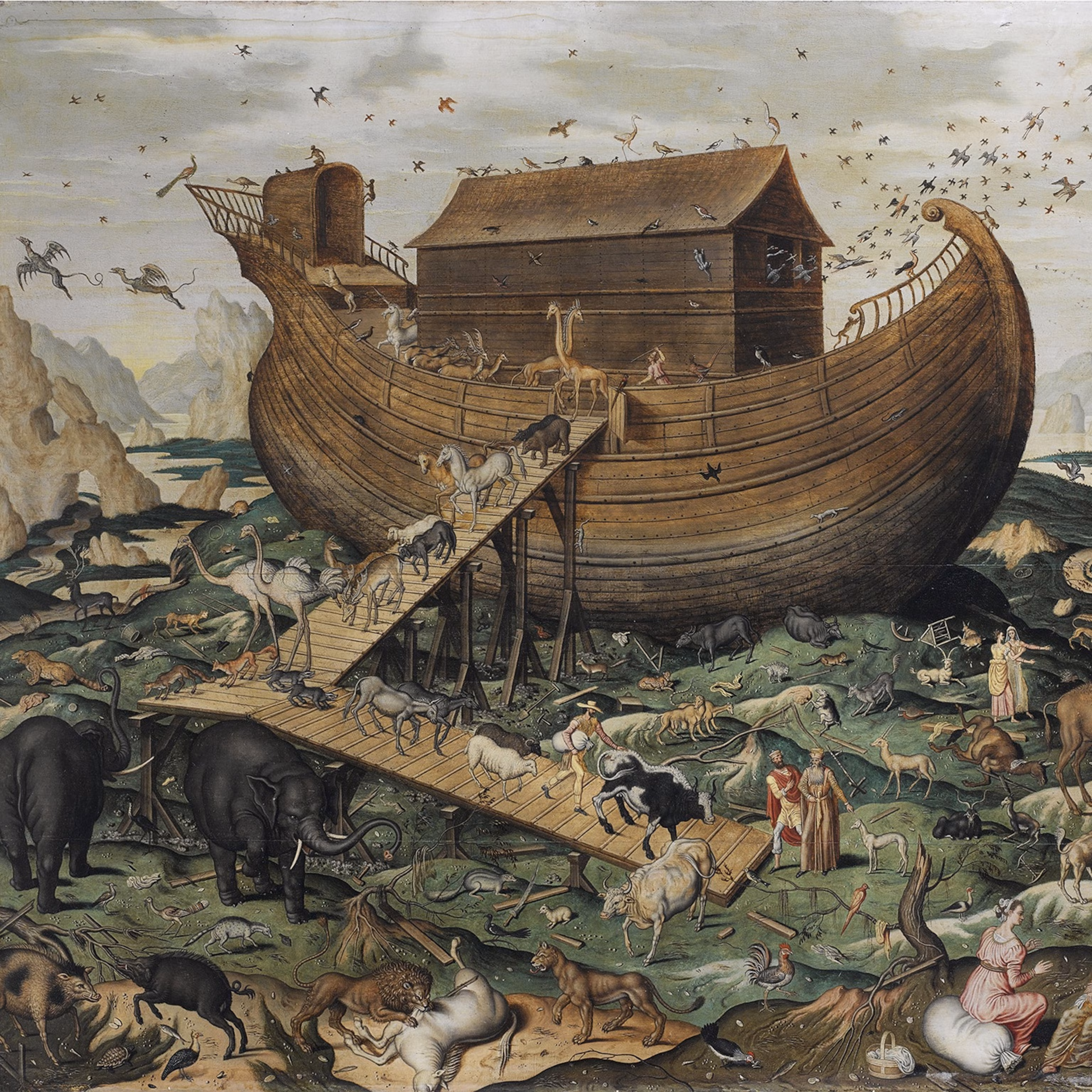 <p>Noah</p>