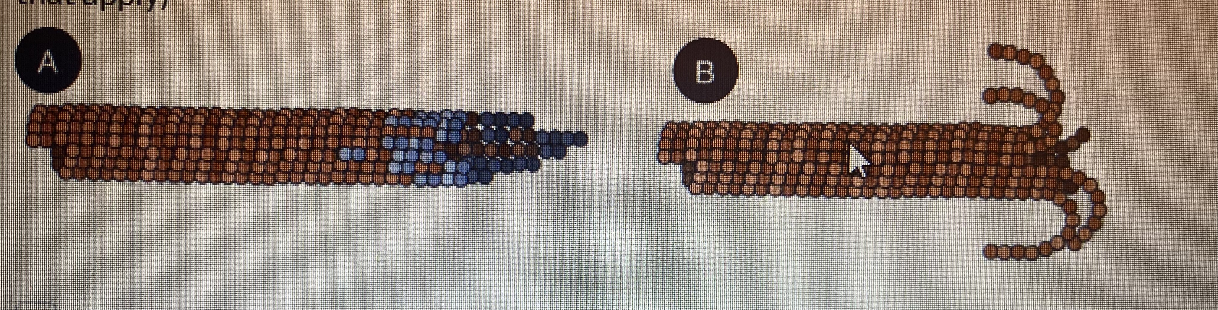 <p>what is true of microtubule phase A?</p>