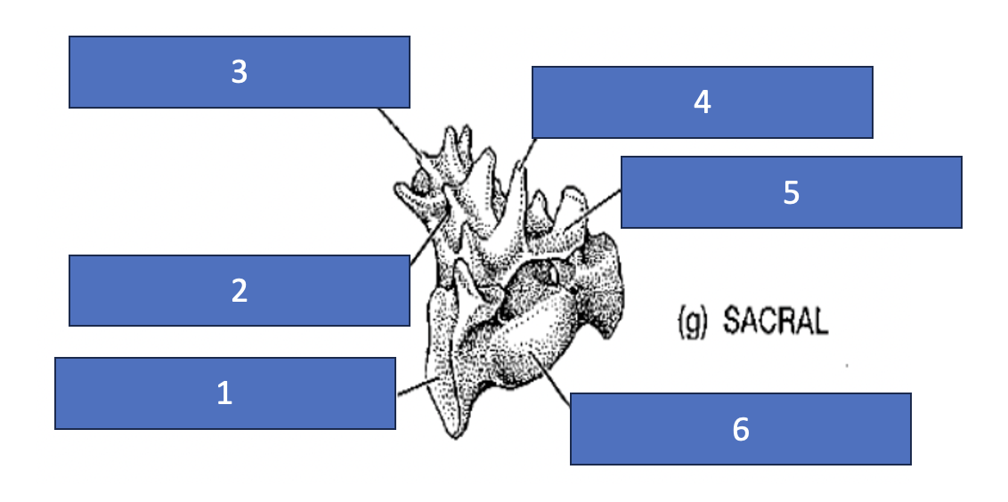 <p>1</p>