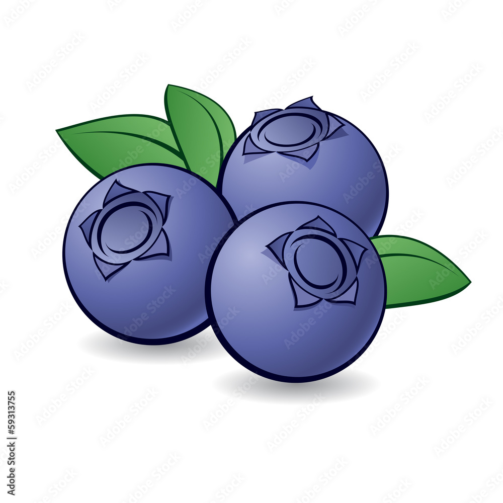 <p>Blueberry</p>