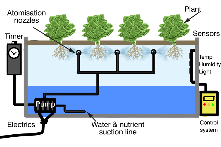 <p>aeroponic</p>