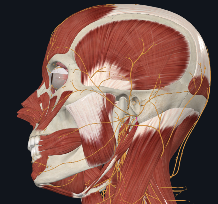 <p>What is highlighted</p>