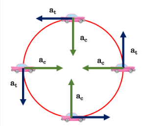 <ul><li><p>changes magnitude of object’s velocity</p></li><li><p>antiparallel or parallel to velocity</p></li><li><p>tangent to the circular path</p></li></ul>