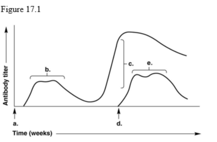 <p>In Figure 17.1, which letter on the graph indicates the highest antibody titer during the patient's response to a second and distinct/different antigen?</p>