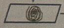 <p>gram stain step 3</p>