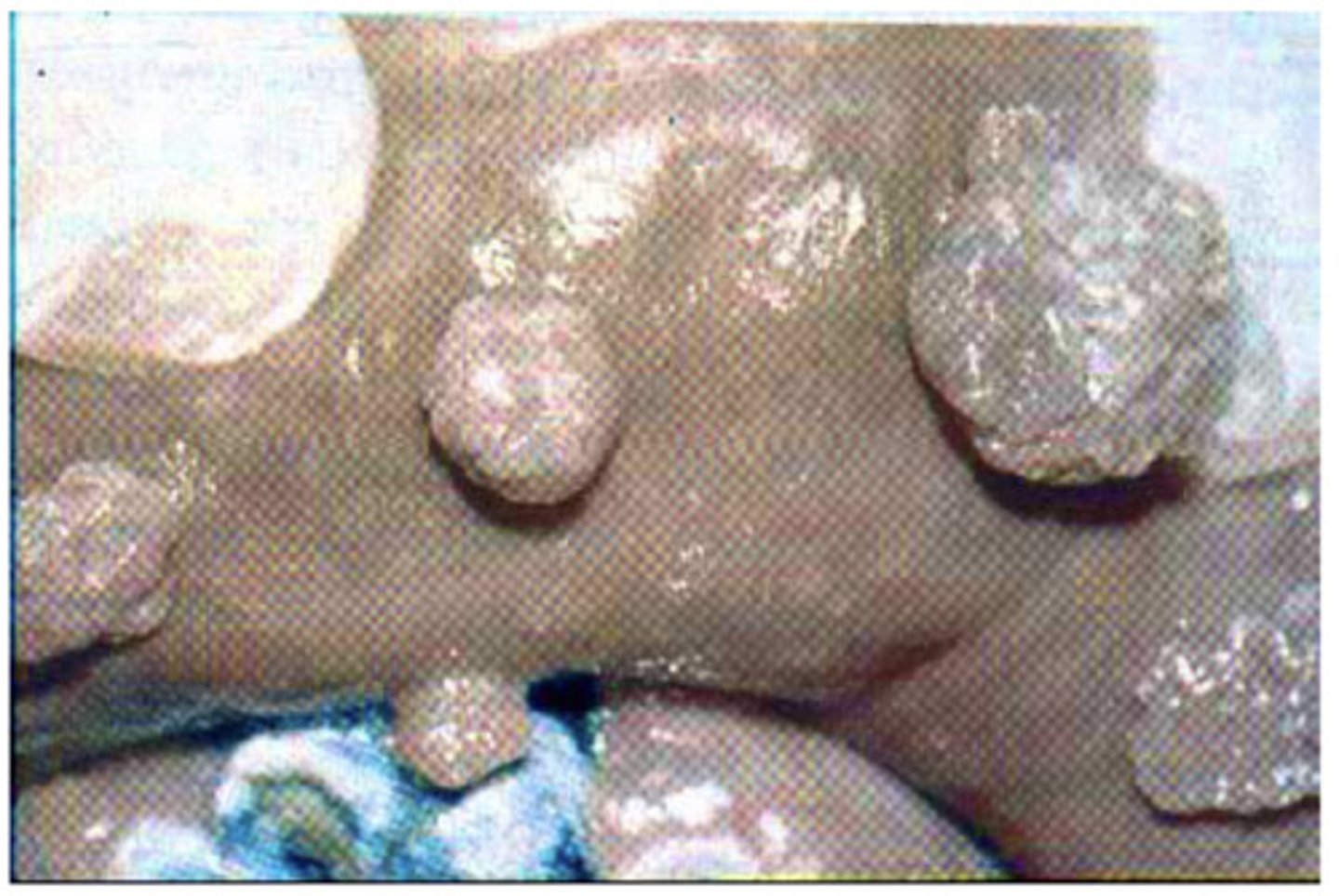 <p>What is this?</p>