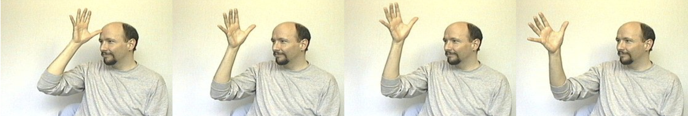 term image