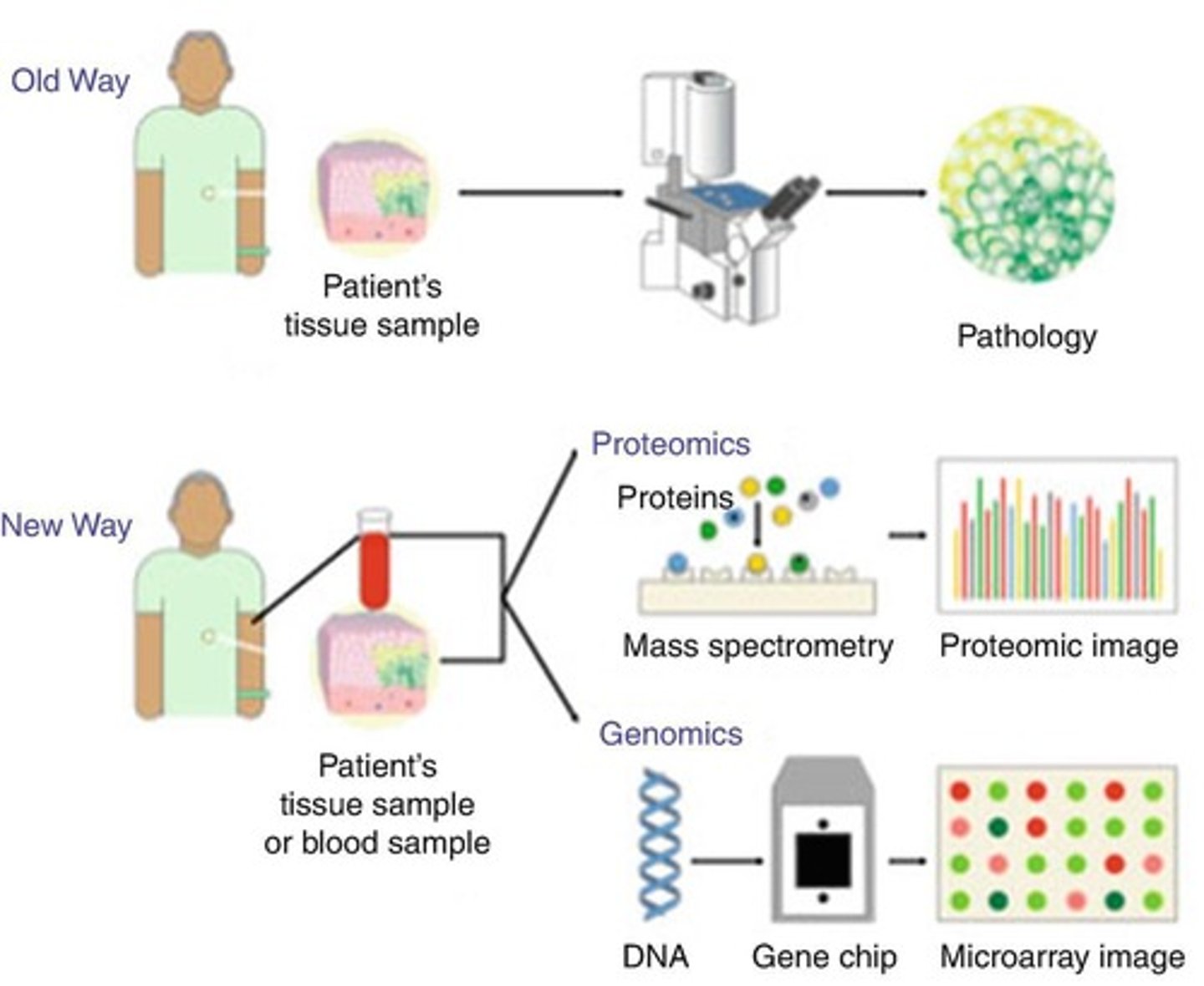 <p>A technique used to analyze biological markers in the genome and proteome to diagnose and monitor disease, detect risk, and determine effective therapies.</p>