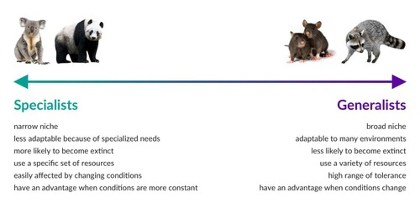 <p>Species with a larger range of tolerance and broader niche, making them less prone to extinction and more likely to be invasive.</p>