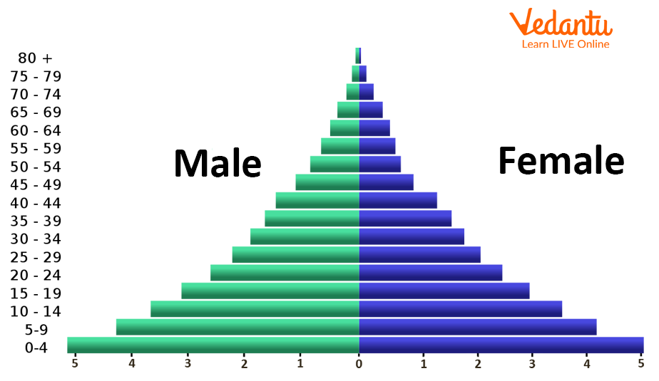 Age and sex structure of the population. 
