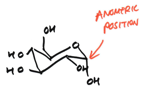 <p>T<mark data-color="rgba(0, 0, 0, 0)" style="background-color: rgba(0, 0, 0, 0); color: inherit;">he hydroxyl (-OH) group on the anomeric carbon (C1) is on the </mark><em><mark data-color="rgba(0, 0, 0, 0)" style="background-color: rgba(0, 0, 0, 0); color: inherit;">opposite side</mark></em><mark data-color="rgba(0, 0, 0, 0)" style="background-color: rgba(0, 0, 0, 0); color: inherit;"> (trans) of the ring from the CH₂OH group (on C5)</mark></p>