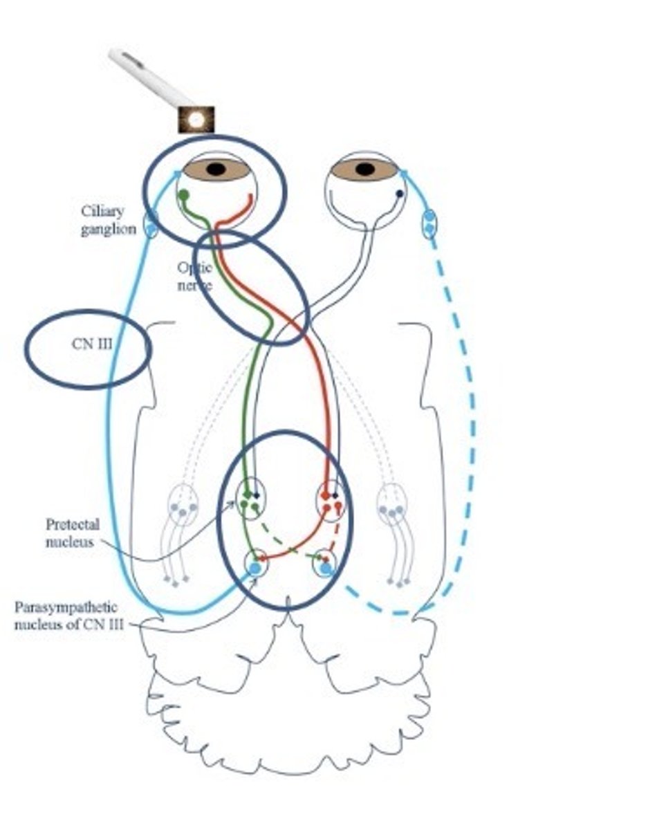<p>input - II</p><p>Output - III</p>