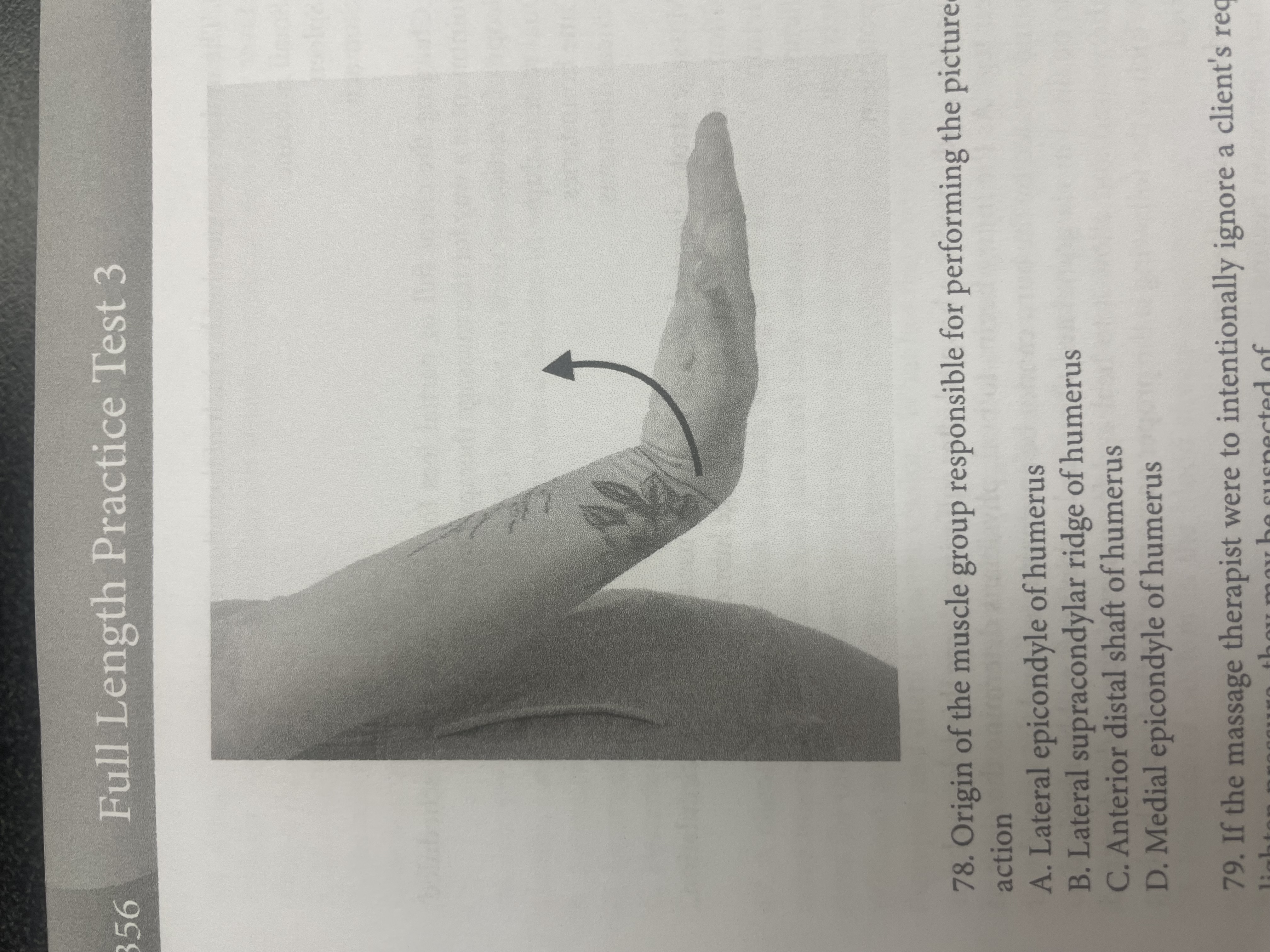 <p>Orgin of the muscle groups responsible for performing the pictured action</p>