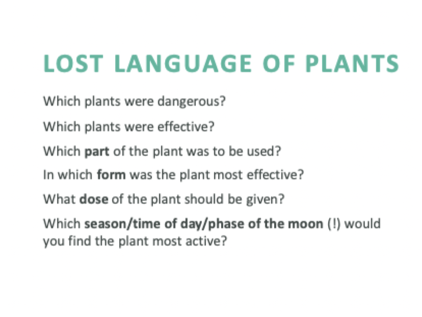 <p>It’s because biophilia can be used to explain this lost language. Traditionally, we were able to tell from just looking at the plant if it was dangerous, effective or which part of it to use for example. </p>