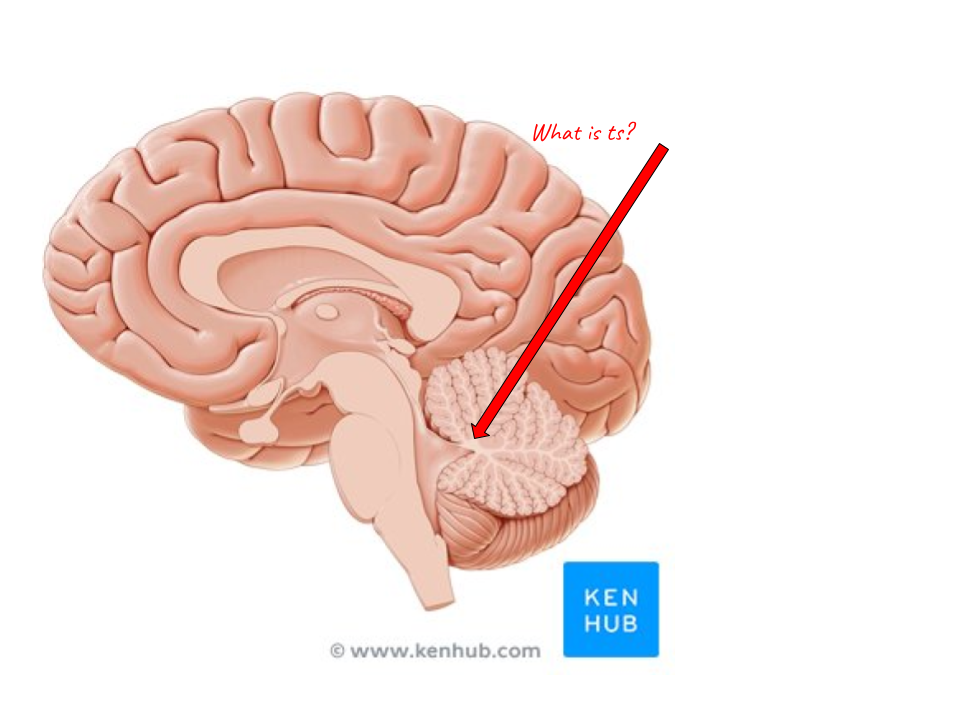 <p>Identify the highlighted region and the textbook definition associated with it</p>