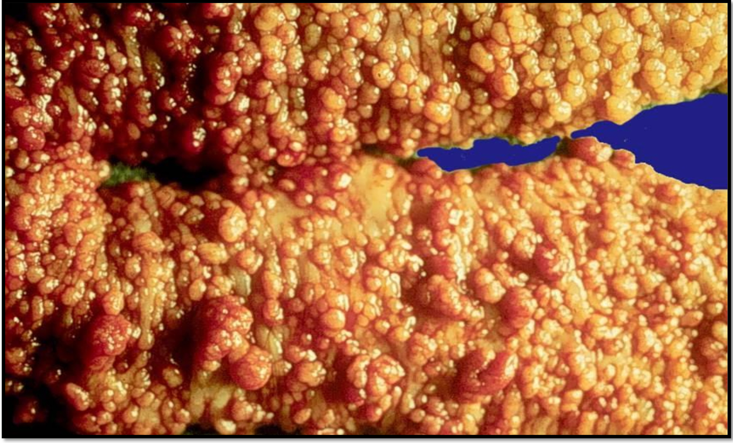 <p>Identify </p>
