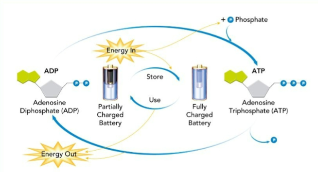 <p>What is this and what does it do?</p>