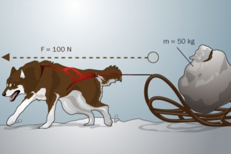 <p>Force and acceleration are directly related. Mass and acceleration are indirectly related.</p>