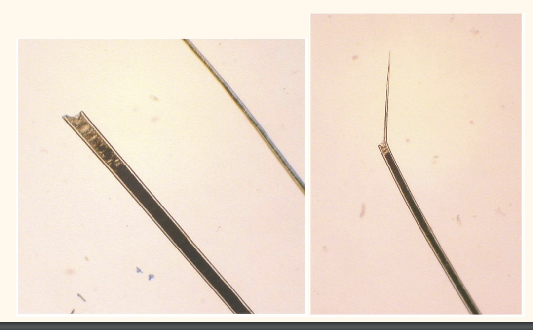 <p>What do these signify</p>