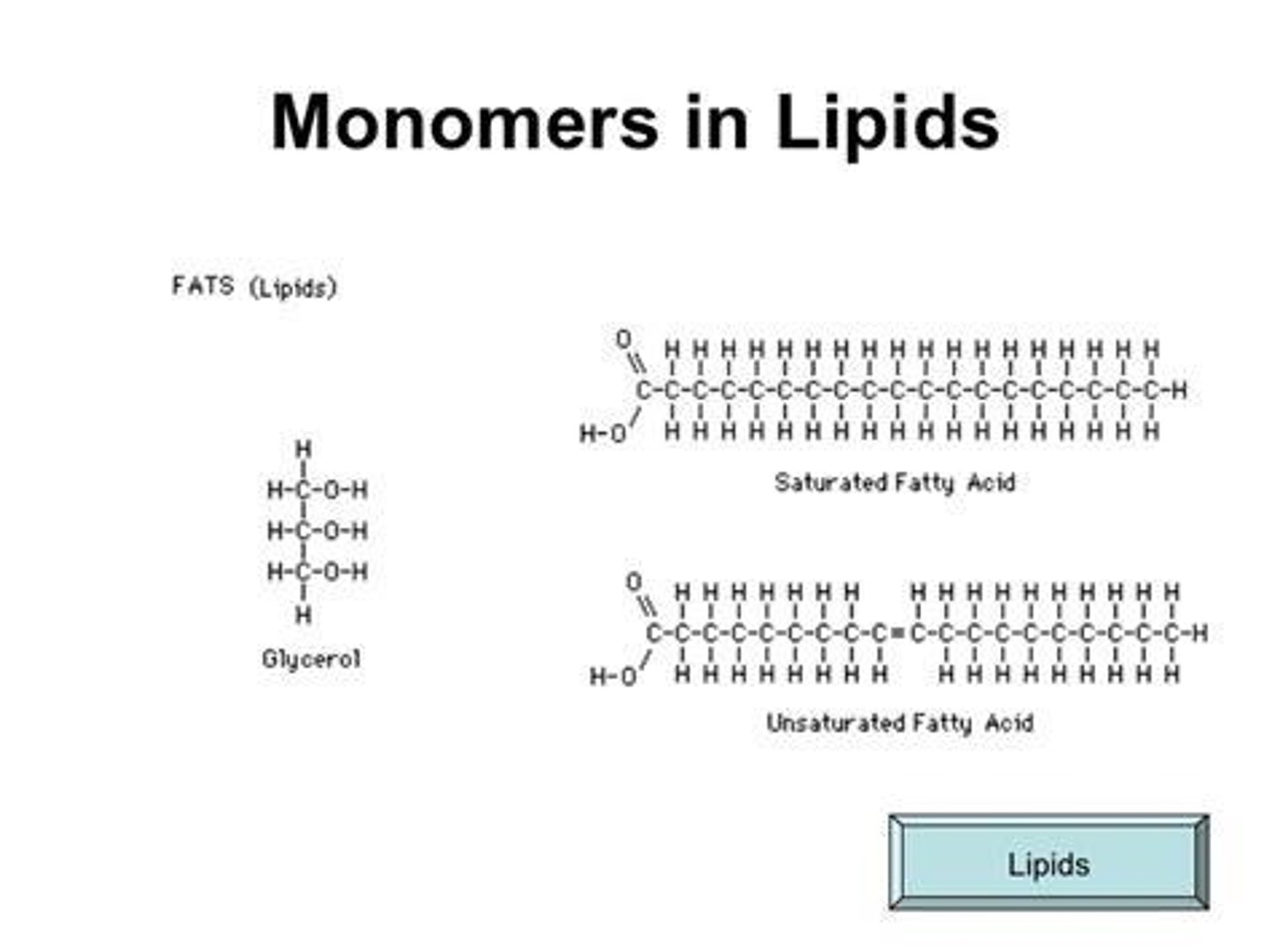 <p>Fatty acids, which are long hydrocarbon chains with a carboxyl group, and sometimes glycerol.</p>