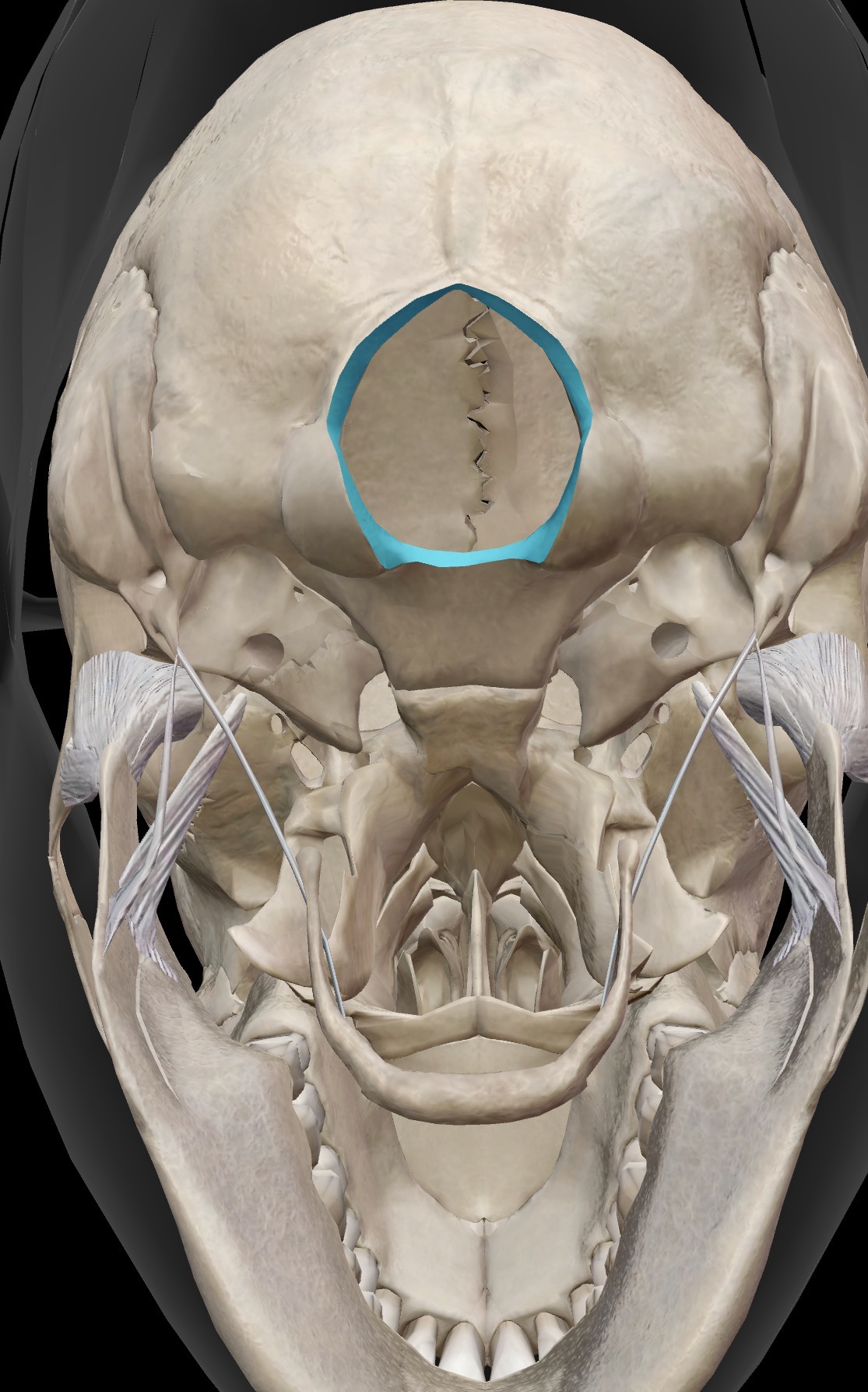 <p>What is this and what is its function?</p>