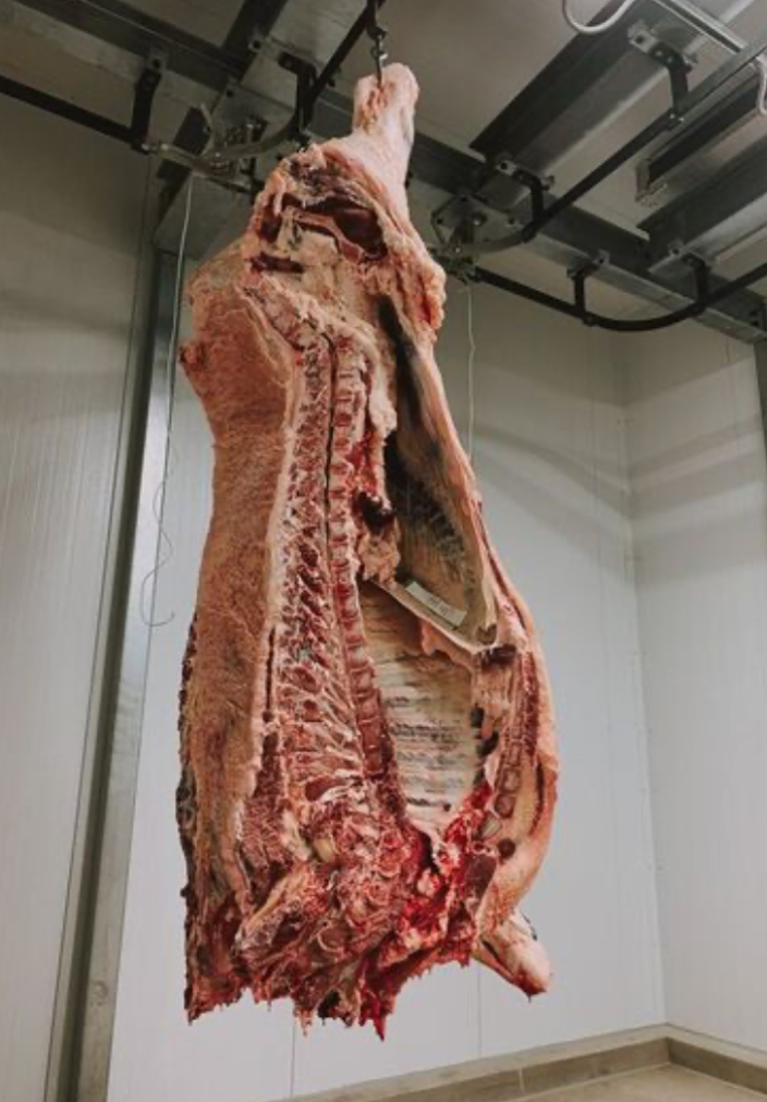 <p><span>Where is the diaphragm located?</span></p>