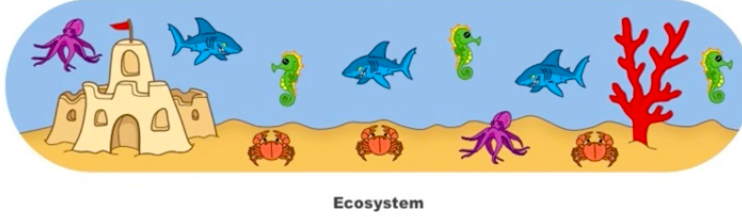 <p>living (biotic) and non-living (abiotic) components that function as a unit in a given area or volume</p>