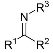 <p>Carbon-nitrogen double bond</p>