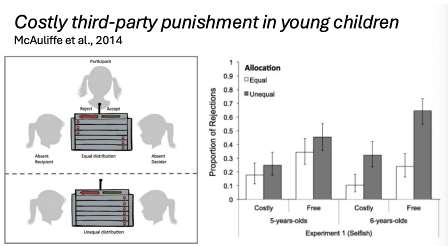 <ul><li><p><span style="background-color: transparent; font-family: "Times New Roman", serif;"><span>In this experiment there is a bystander and there are variations of how the skittles are divided. The participant can decide to accept or reject but if the participant rejects, it comes at the cost of one of their skittles. This experiment has an element of costliness to it mirroring that oftentimes when bystanders step in, there is some sort of repercussion or element of cost involved&nbsp;</span></span></p></li><li><p><span style="background-color: transparent; font-family: "Times New Roman", serif;"><span>Results indicate for five year olds they are no more likely to reject an unequal distribution relative to an equal distribution. Five year olds in this task are not engaging in this costly third party punishment – but at six year olds there is a difference of whether they reject unequal vs equal distributions&nbsp;</span></span></p></li><li><p><span style="background-color: transparent; font-family: "Times New Roman", serif;"><span>Third party punishment exists in six year olds but not five years olds&nbsp;</span></span></p></li><li><p><span style="background-color: transparent; font-family: "Times New Roman", serif;"><span>Six year olds are more likely to reject unequal distributions vs equal distributions&nbsp;</span></span></p></li><li><p><span style="background-color: transparent; font-family: "Times New Roman", serif;"><span>This shows more evidence that punishment is not early emerging because five year olds are not showing evidence of third party punishment&nbsp;</span></span></p></li></ul><p></p>