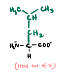 <p>An essential branched-chain non-polar amino acid.</p>