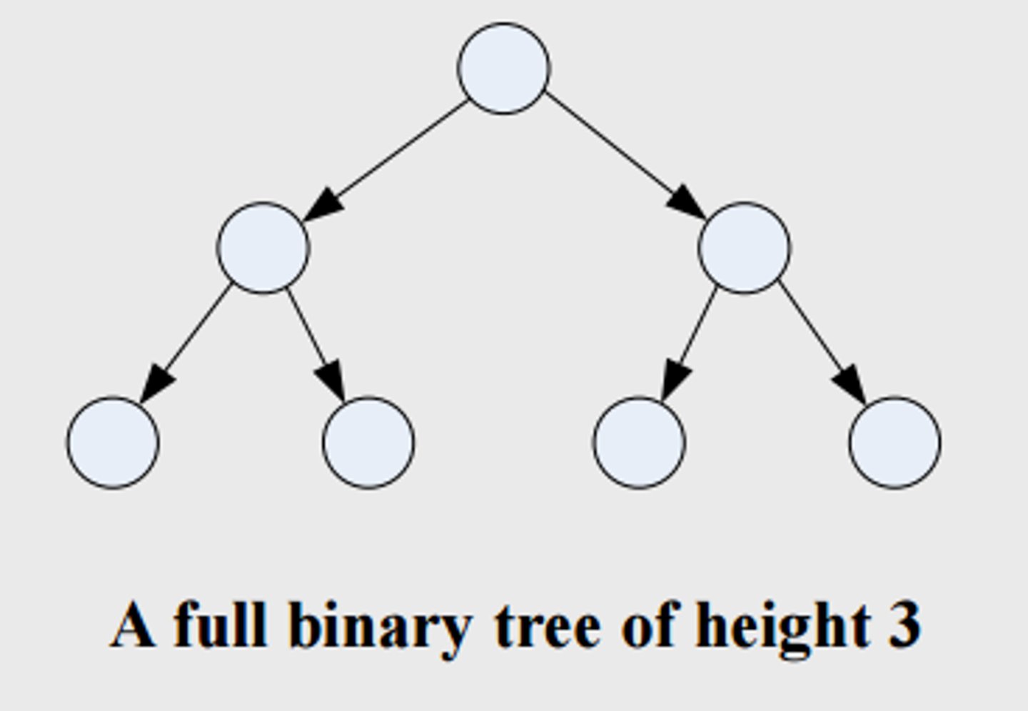 <p>Each node has 0 or 2 children</p>