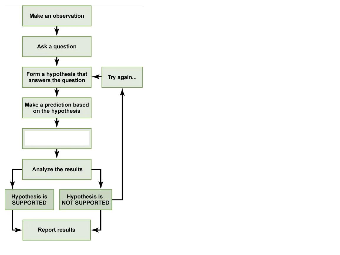 <p>What step is this in the scientific method?</p>