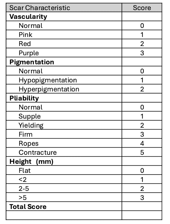 <ul><li><p>Vascularity </p></li><li><p>Pigmentation </p></li><li><p>Pliability </p></li><li><p>Height (mm)</p></li></ul><p></p>