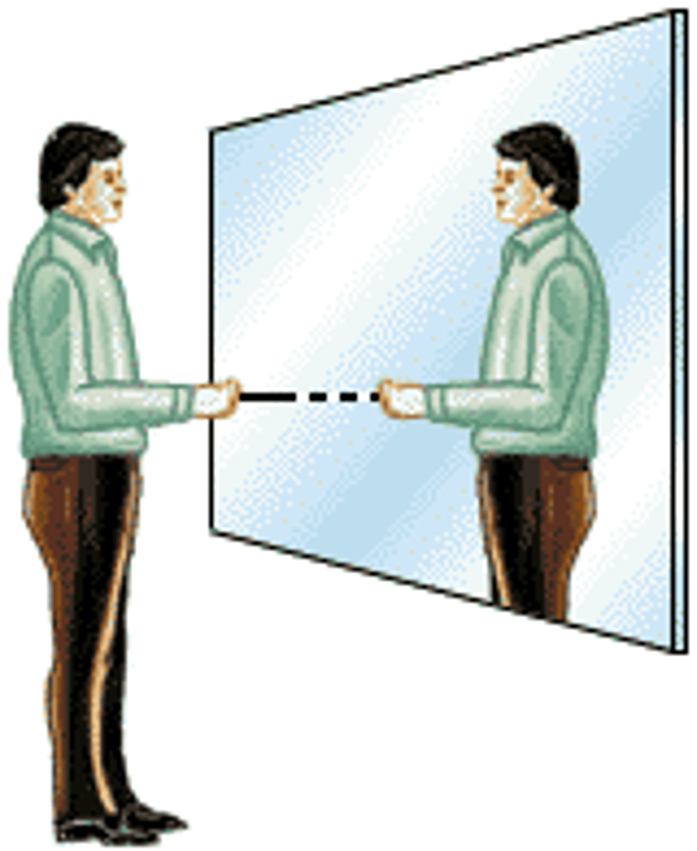 <p>Mirrors only produce virtual images.</p>