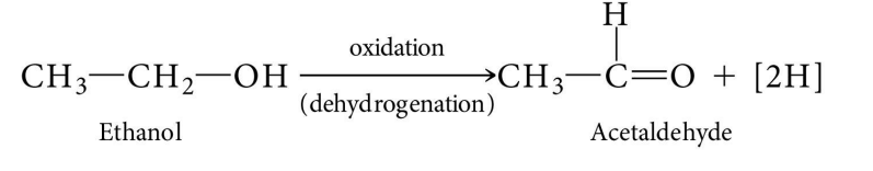 <p>Removal of a proton and an electron (i.e. hydrogen)</p><p>Cellular reacts involving organic molecules are almost always dehydrogenation reactions</p>