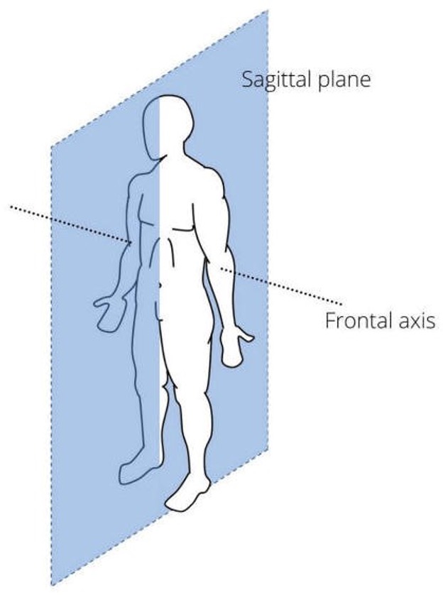 <p>Sagittal Plane</p>