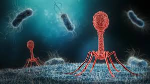 <p>Viruses</p>