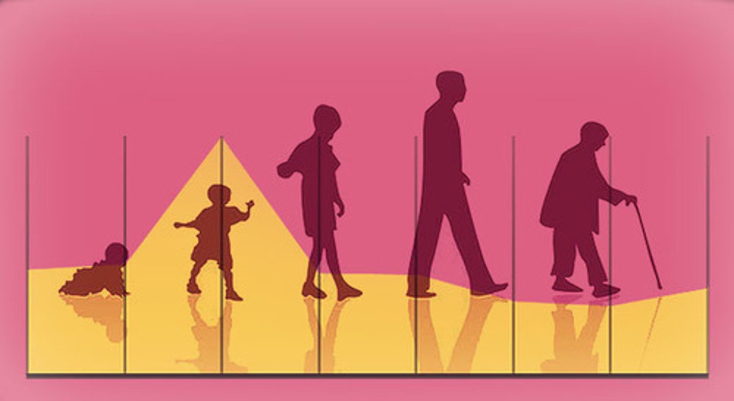 <p>(human) life</p>