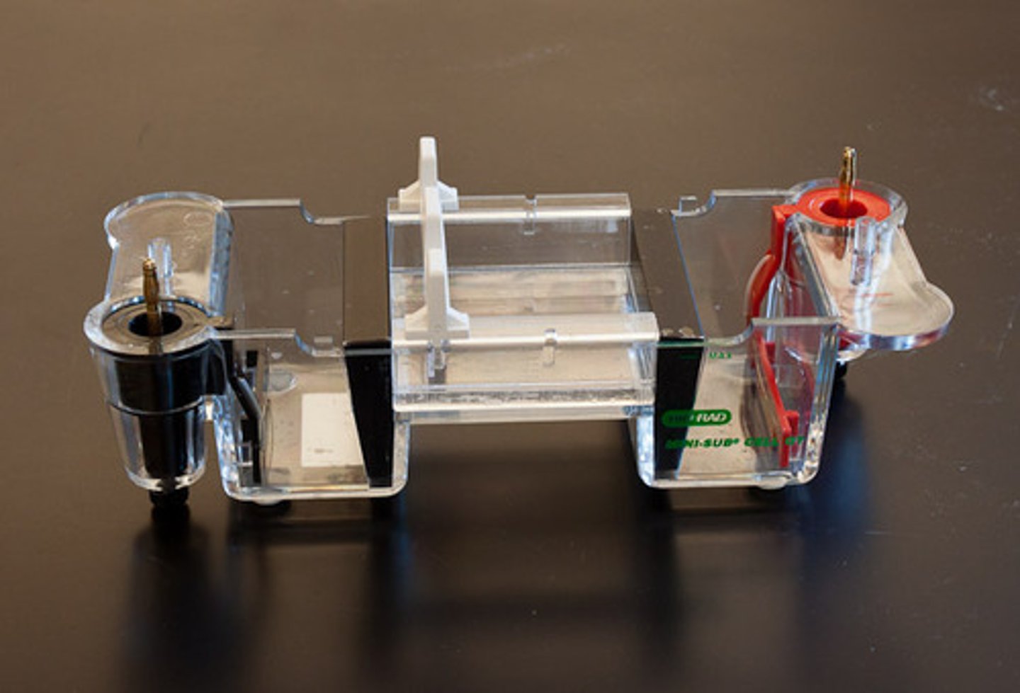 <p>the entire apparatus for separating DNA fragments</p>
