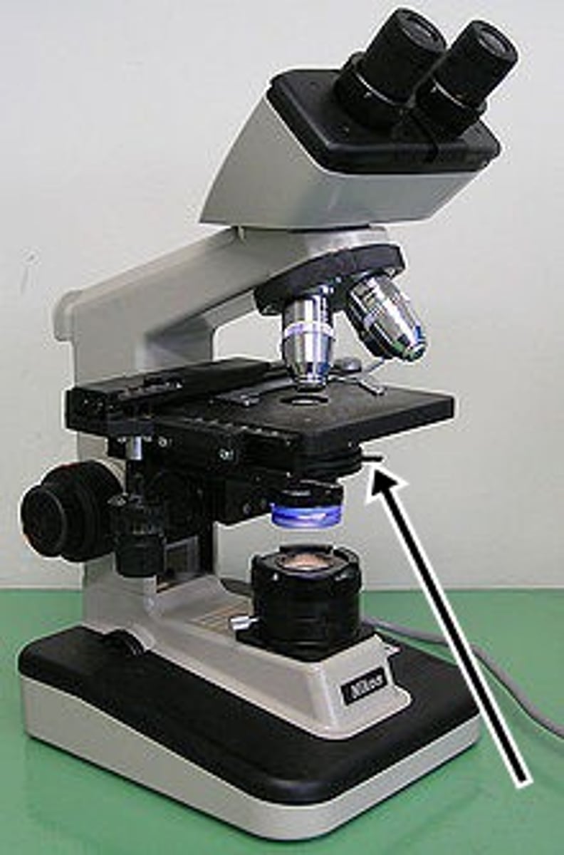 <p>(adjustable iris controlling angle and amount of light sent though specimen)</p>