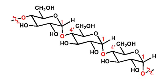<ul><li><p>onderdeel van zetmeel</p></li><li><p>ketting van 100’en glucoses/maltoses</p></li></ul><p></p>