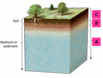 <p><span><span>Match the following terms associated with the water table to the appropriate target.</span></span></p>