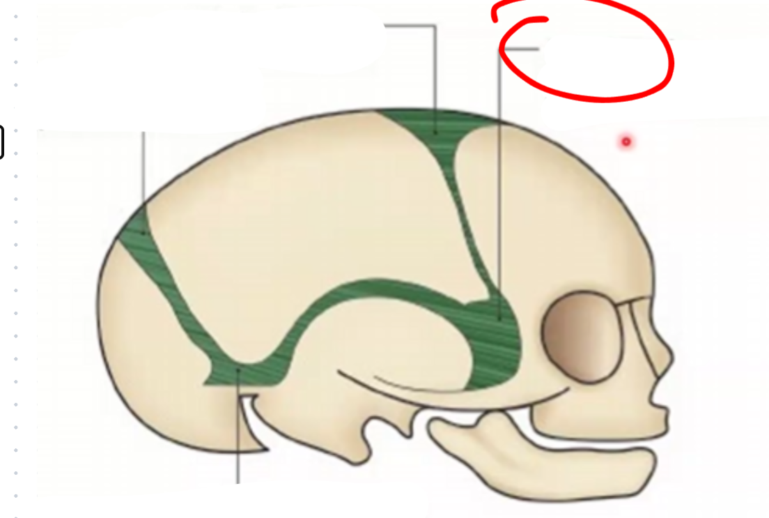 <p></p>