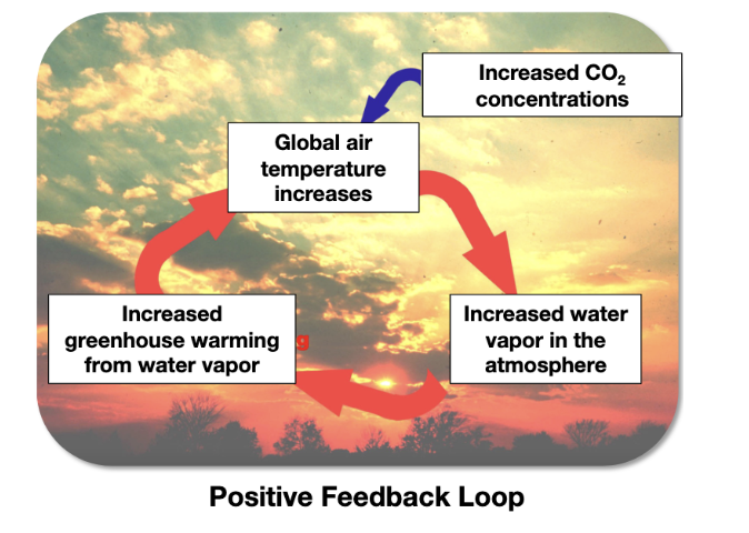 * increased CO2 and other greenhouse gasses absorb more energy, meaning that more heat is trapped within the Earth’s atmosphere
* As atmospheric temperature rises due to global warming, the **atmosphere can hold more water**
  * This causes **more extreme rain-related events**, such as hurricanes and flooding.